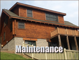  Webster County, Georgia Log Home Maintenance