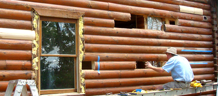 Log Home Repair Webster County, Georgia