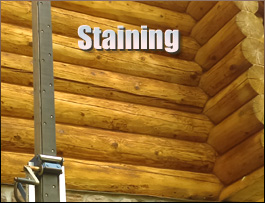  Webster County, Georgia Log Home Staining